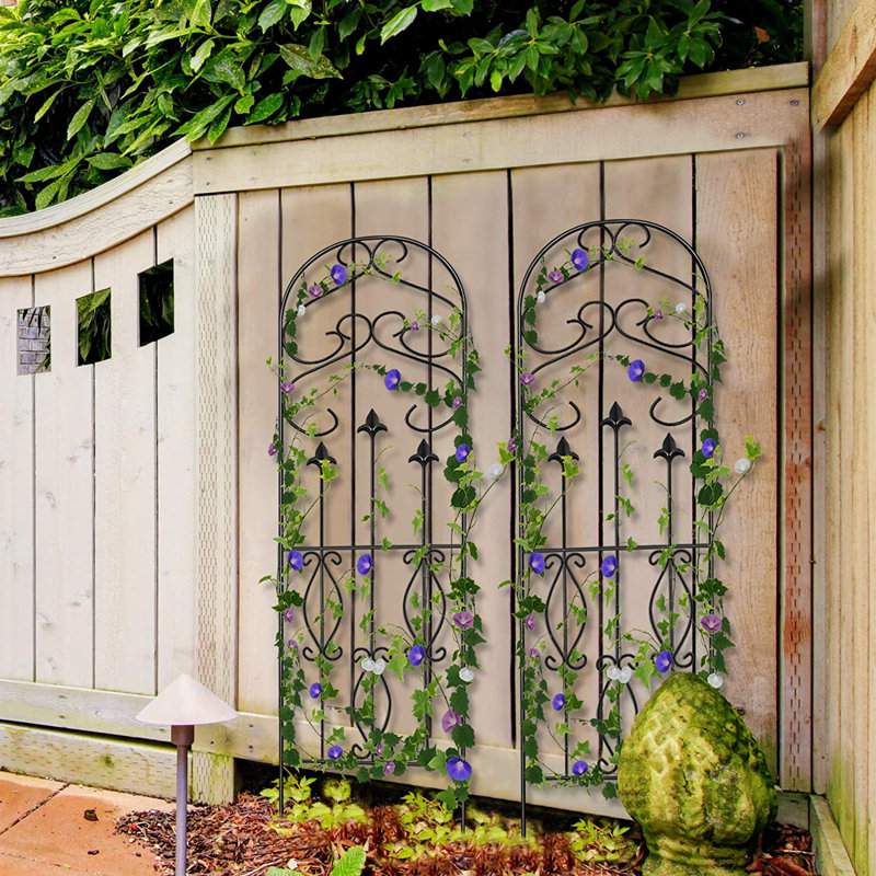 Astoria Grand 4 Pack Garden Trellis For Climbing Plants 60" X 18" Rustproof Sturdy Black Iron